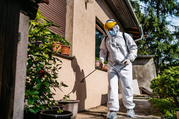 Best Pest Control Near Me in New Union, TN