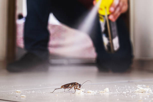 Best Residential Pest Control  in New Union, TN
